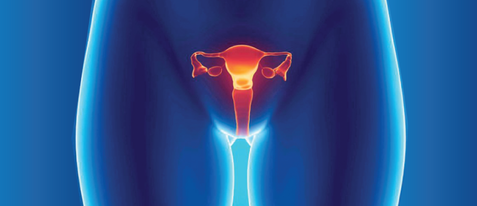 Seguimiento folicular